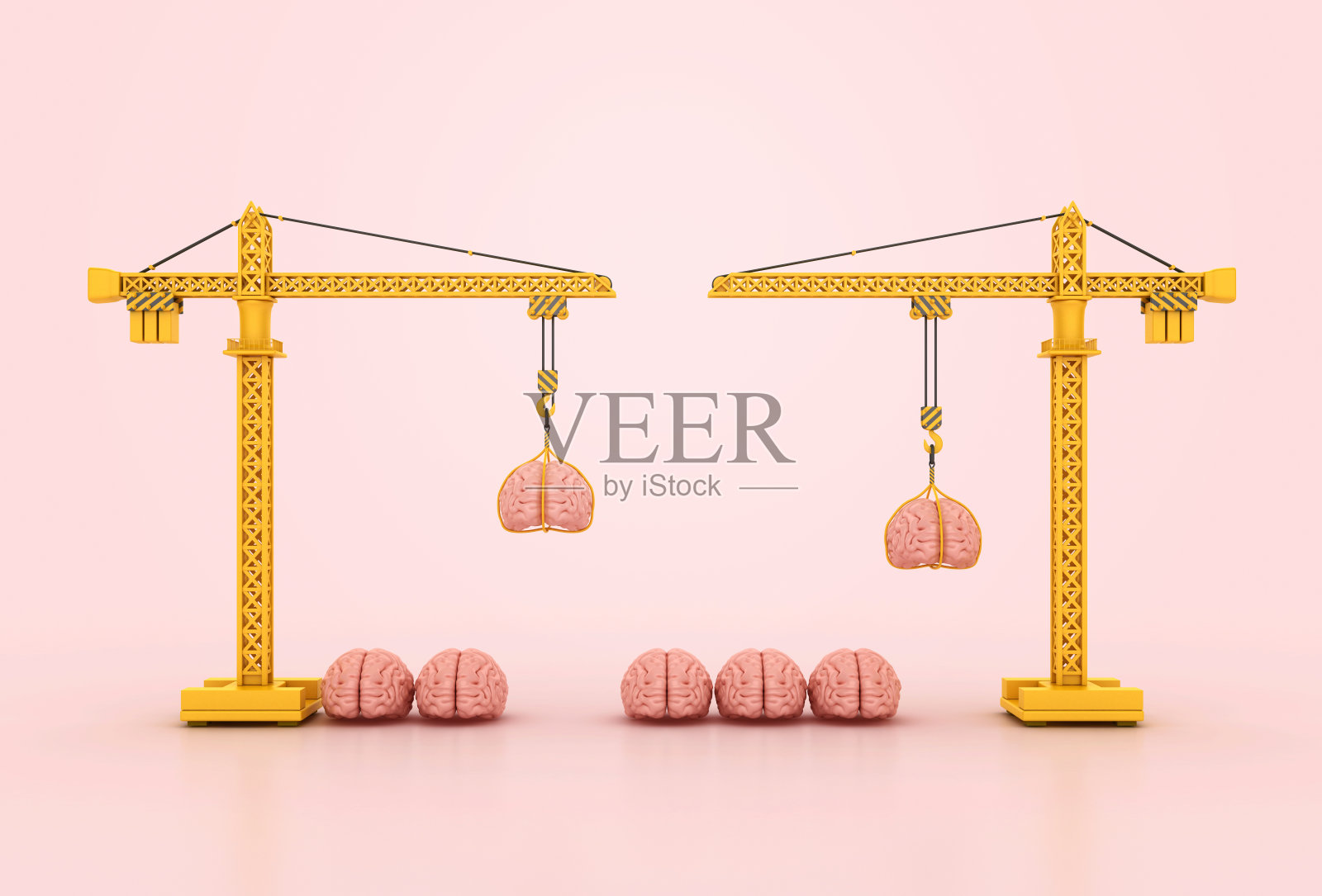 有脑的鹤照片摄影图片