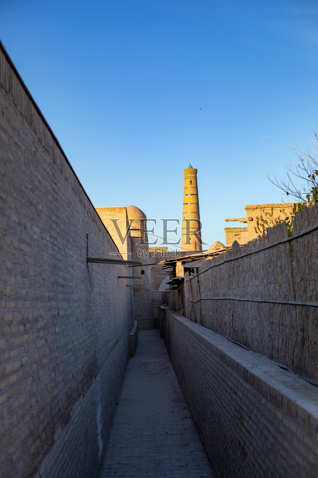 希瓦照片摄影图片