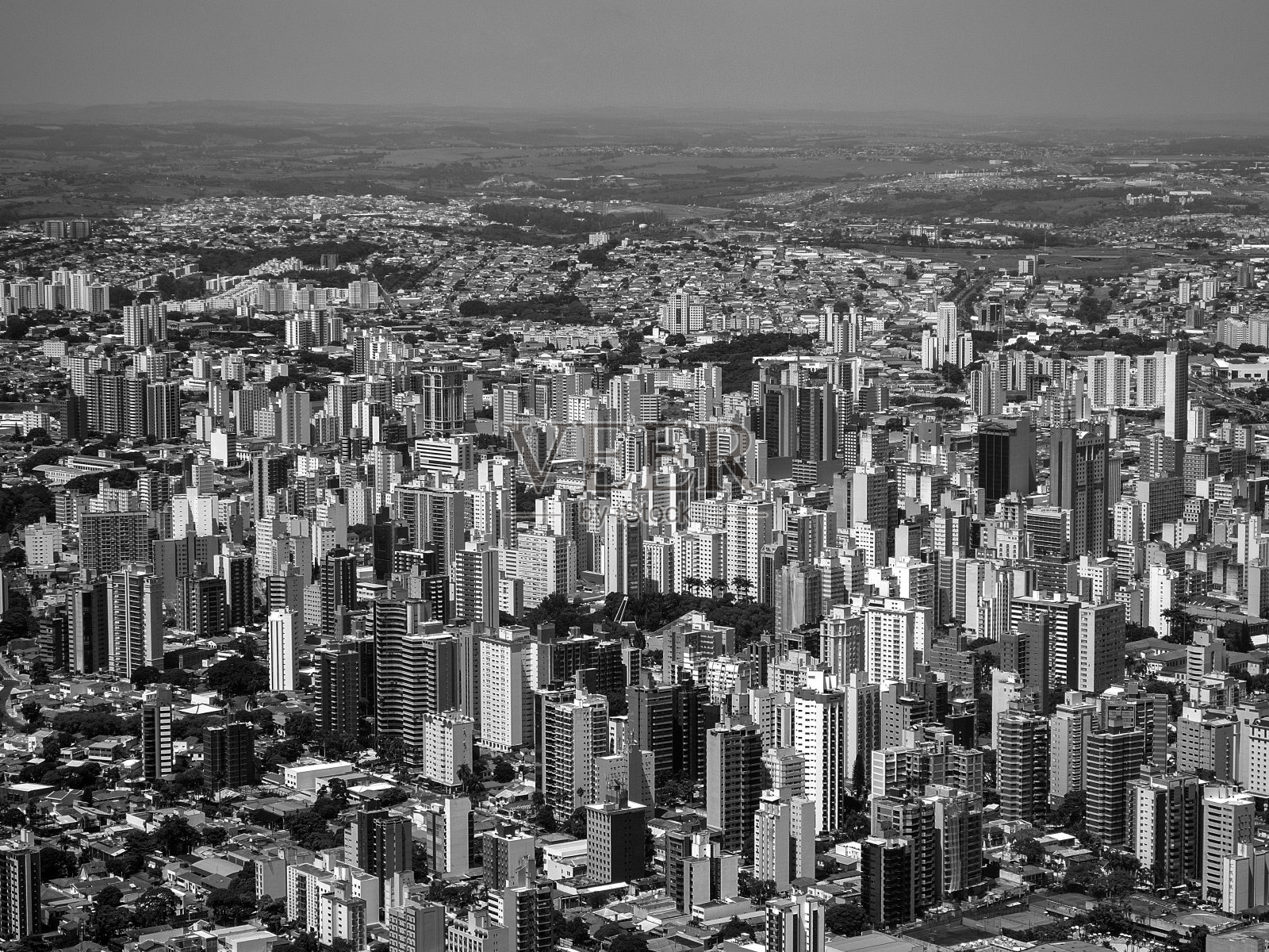 城市挂毯:坎皮纳斯的单色大都市照片摄影图片