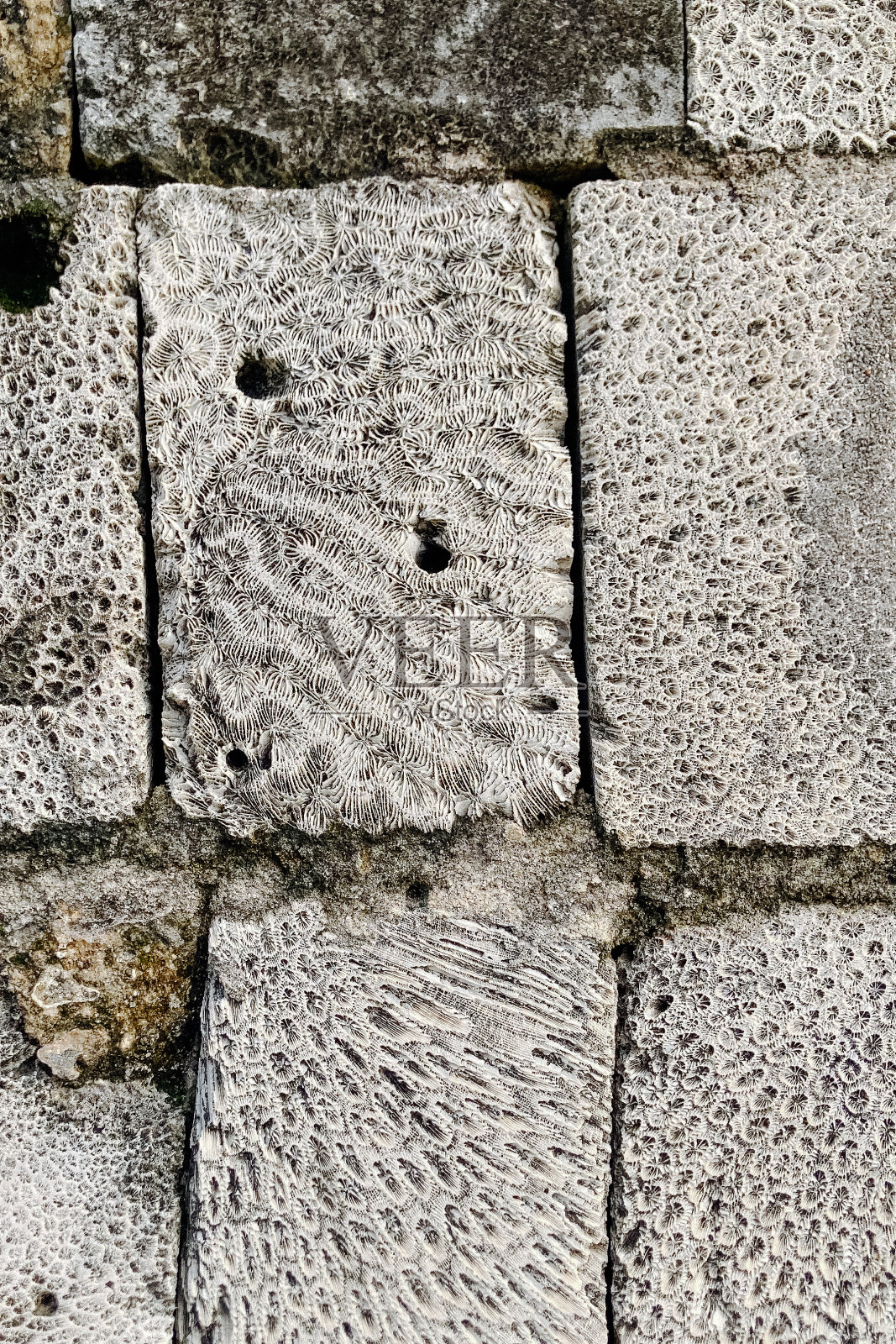 斯里兰卡贾夫纳堡用珊瑚制成的纹理石照片摄影图片