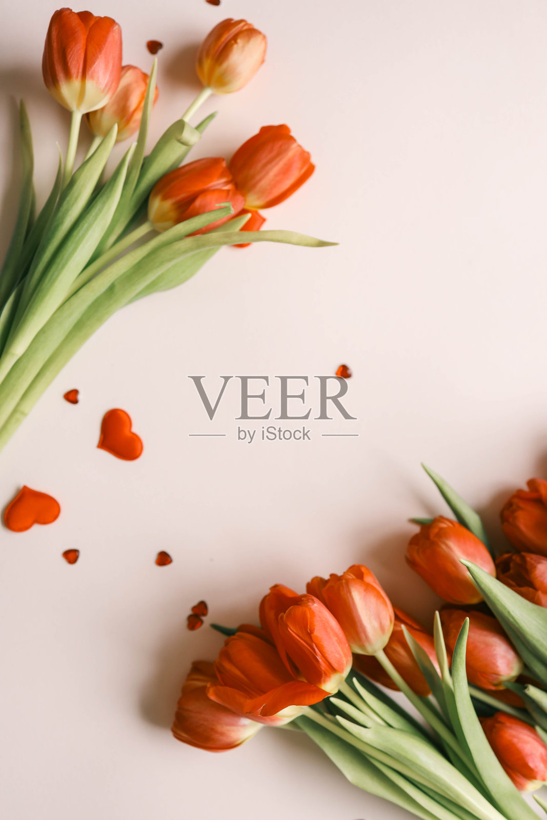 红色郁金香和心形，节日的背景与文字的地方照片摄影图片