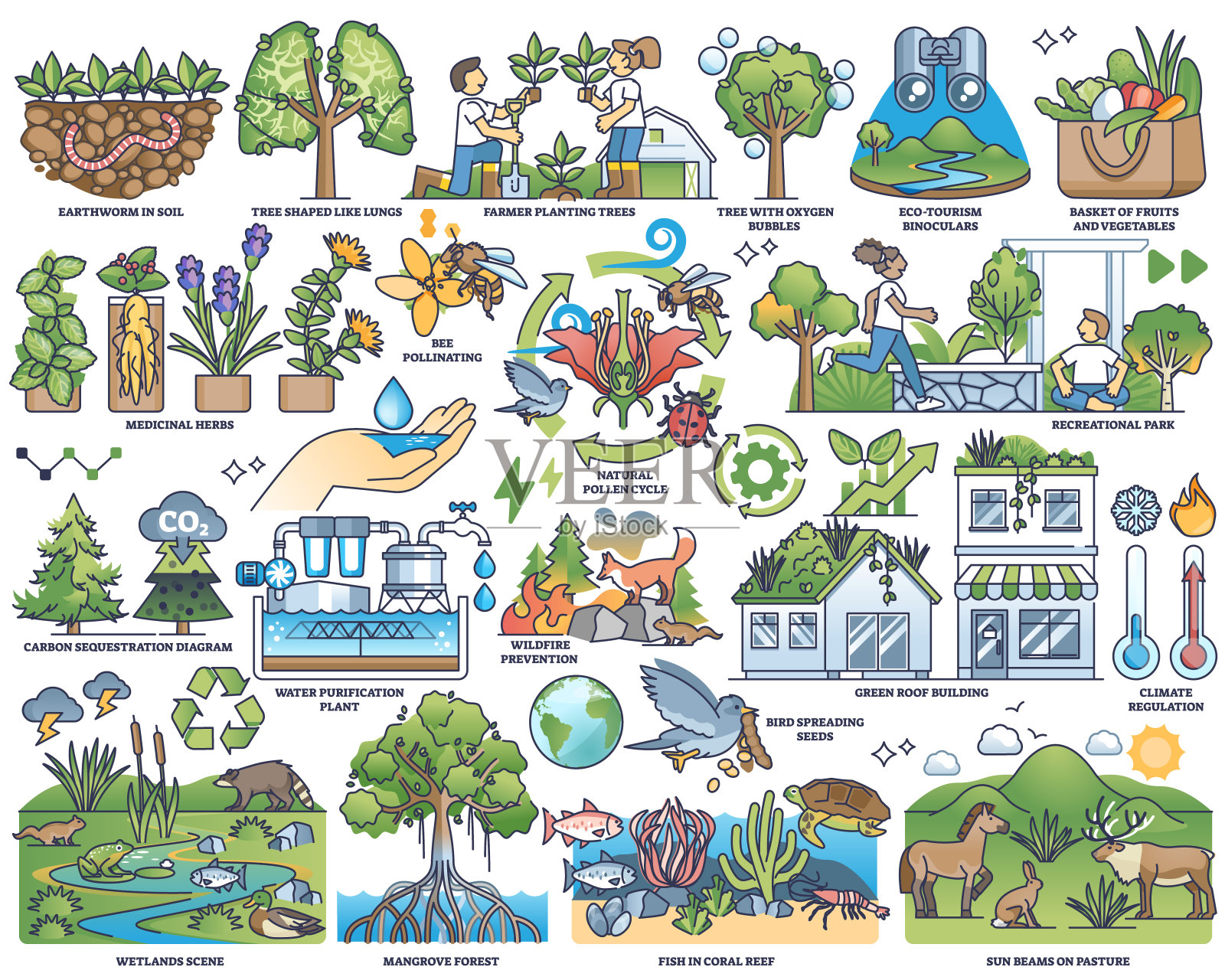生态系统服务项目与环境保护大纲收集集插画图片素材