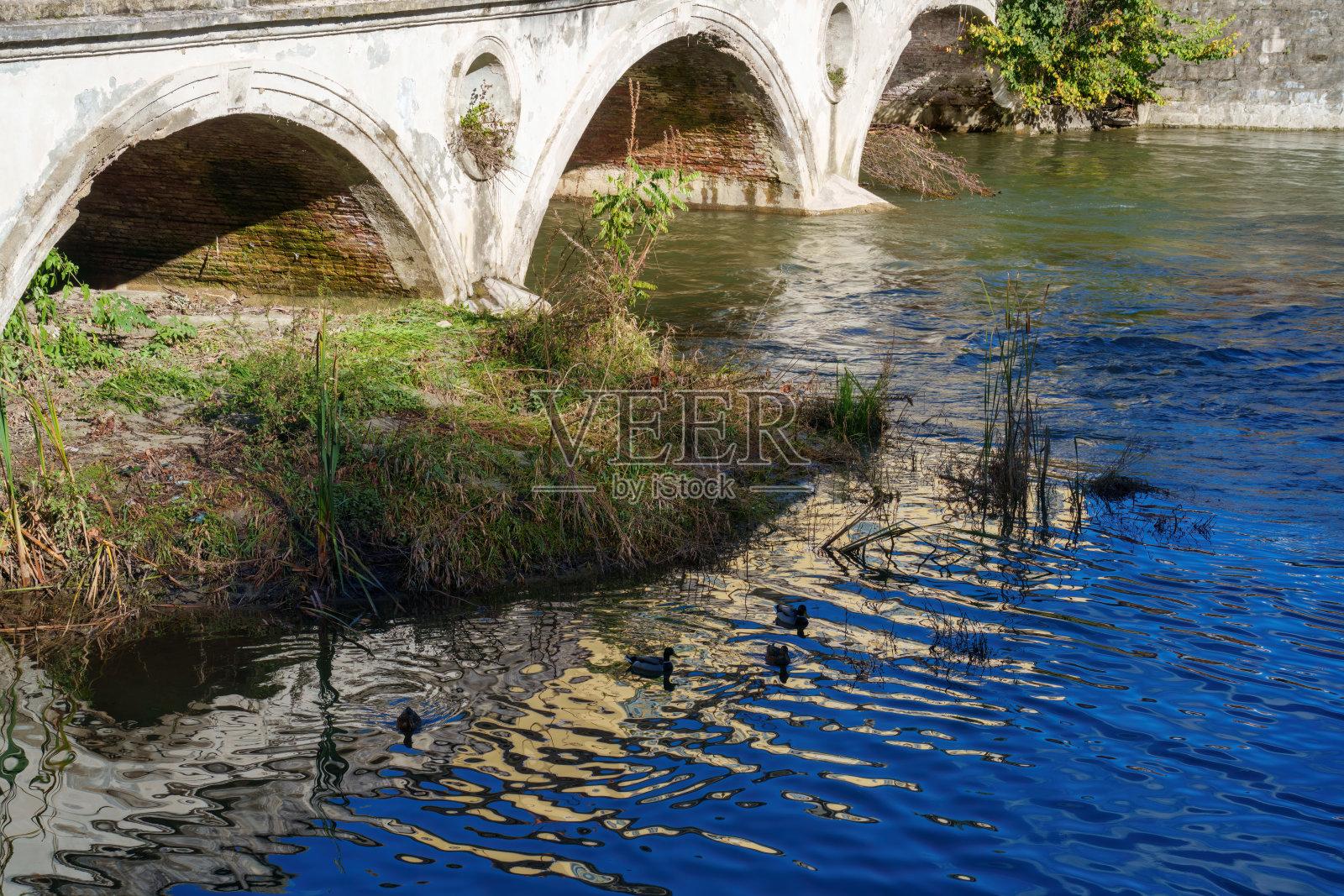 Agliate，意大利布里安扎的历史村庄照片摄影图片
