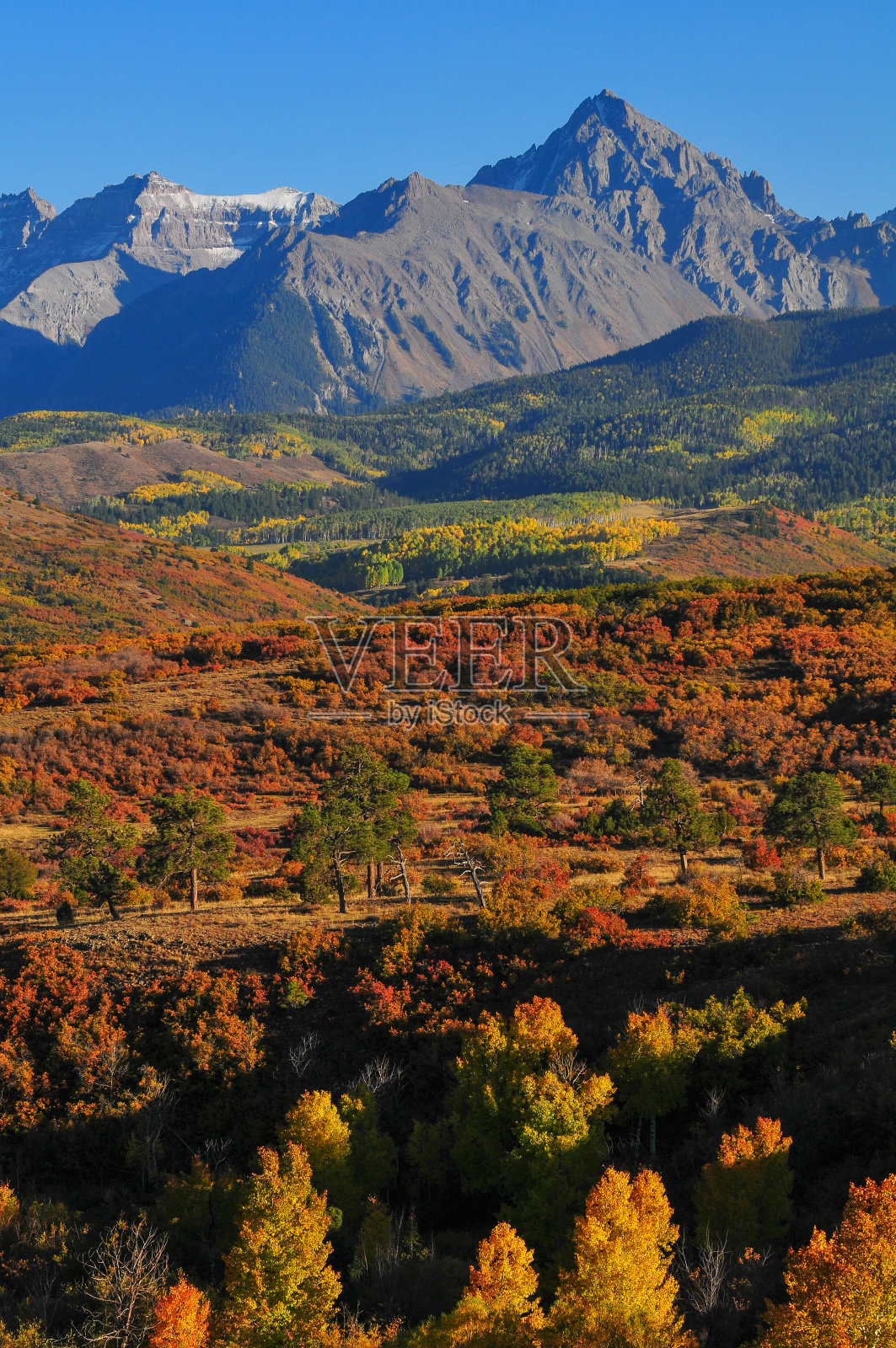 傍晚时分，在斯奈菲尔山脉的秋叶上照片摄影图片