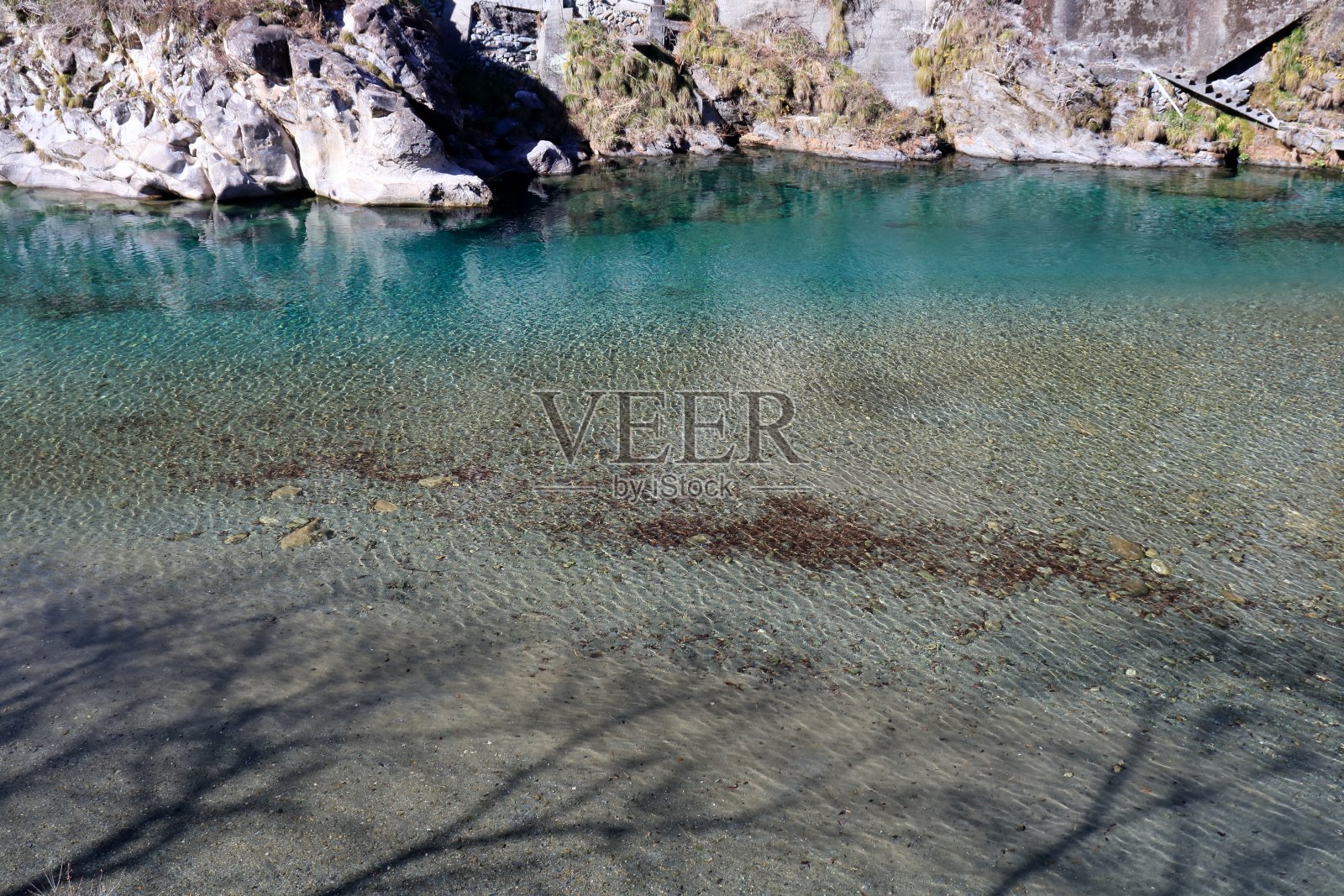 冬天，土井河上的樱花树(高知县新狗川町北aura Fureai公园)照片摄影图片