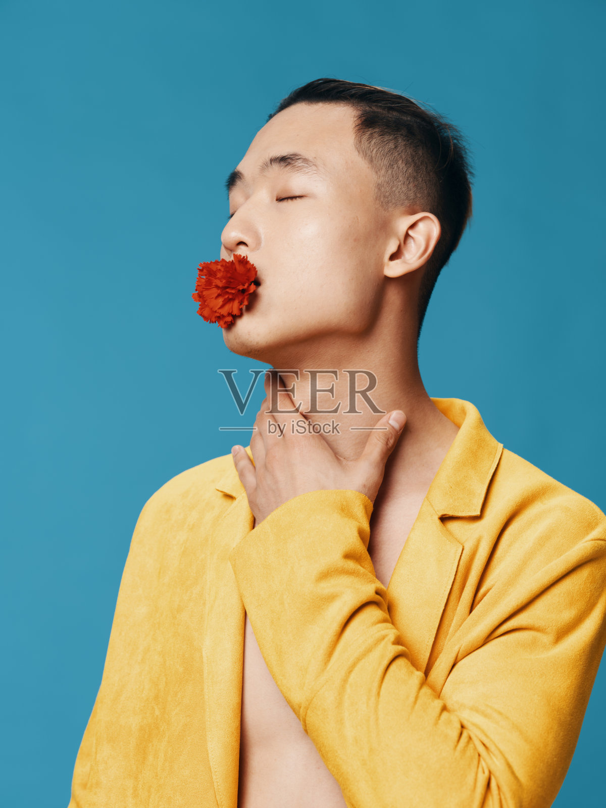 牙齿上戴着一朵花的男人黄色夹克蓝色背景肖像亚洲人的样子照片摄影图片
