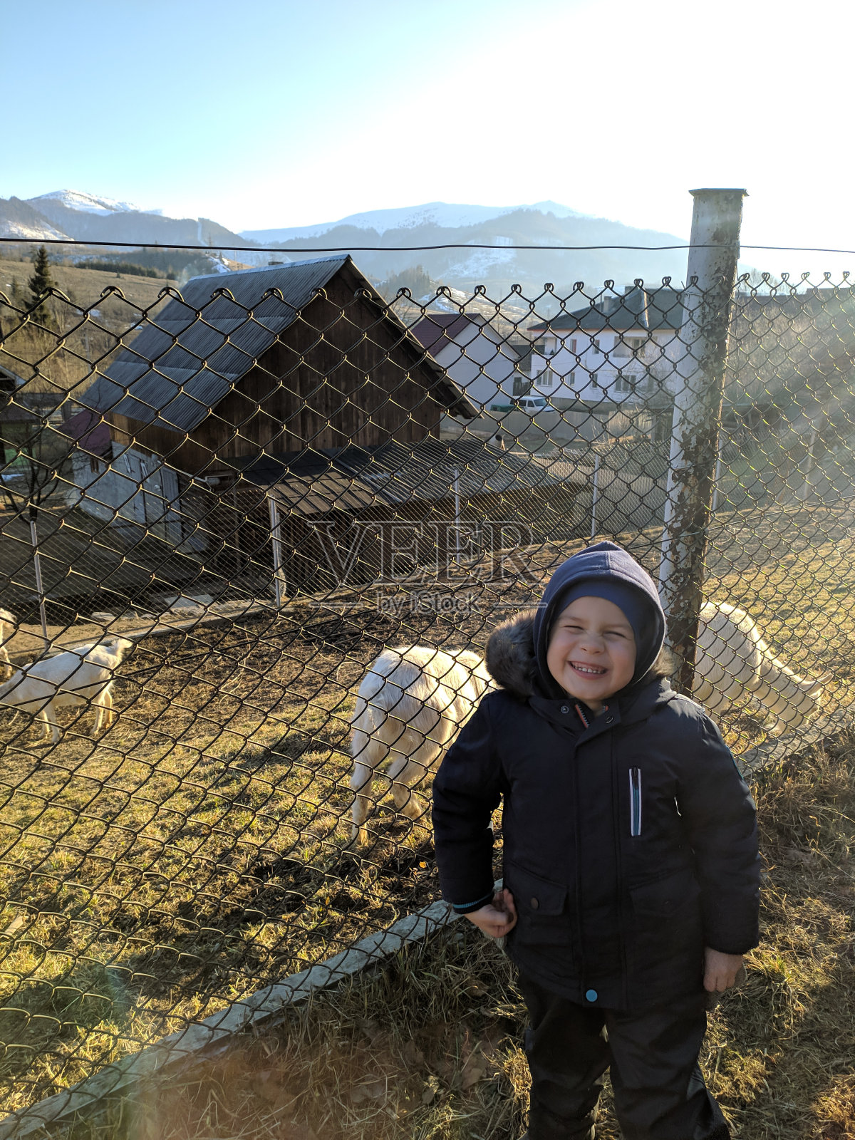 在一个山村里，一个笑着的男孩在羊圈旁。照片。照片摄影图片