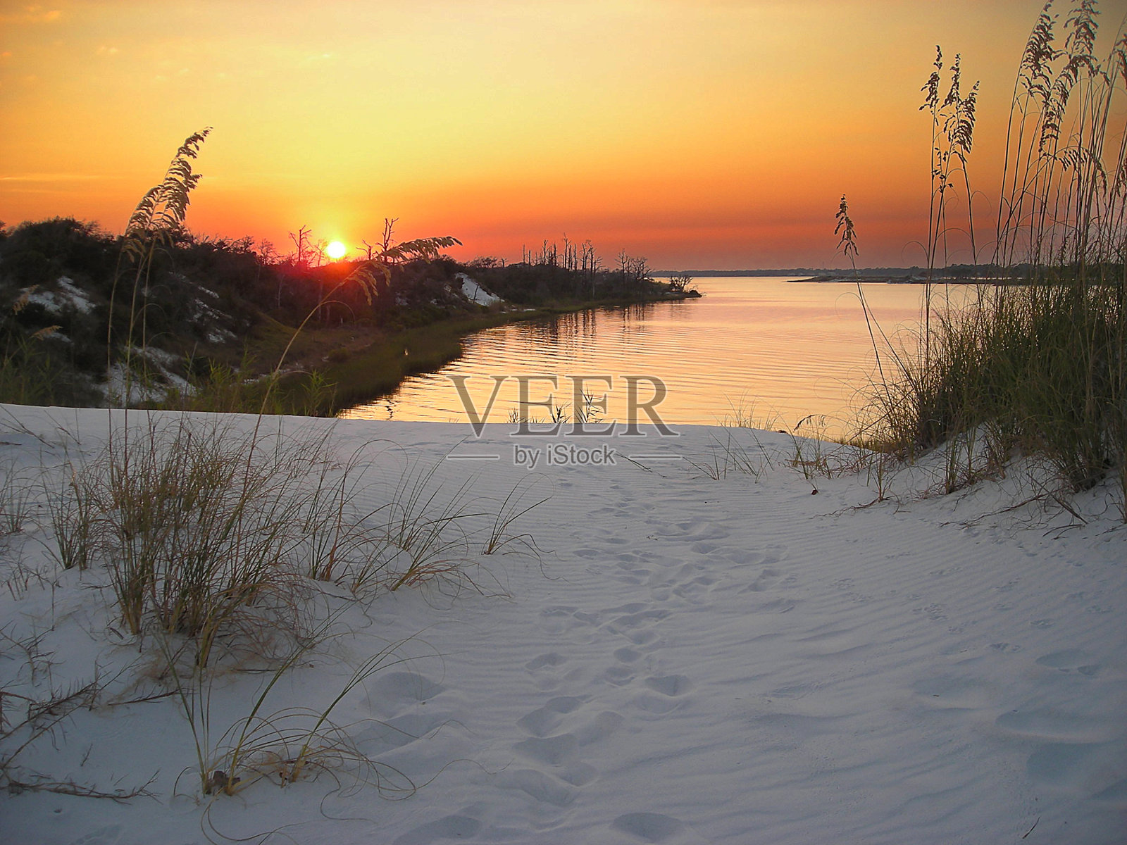 DUNESET照片摄影图片