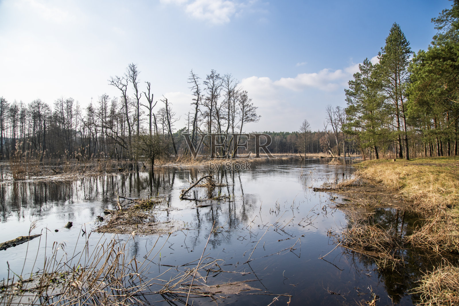 洪水淹没了森林和田野，淹没了自然景观。照片摄影图片