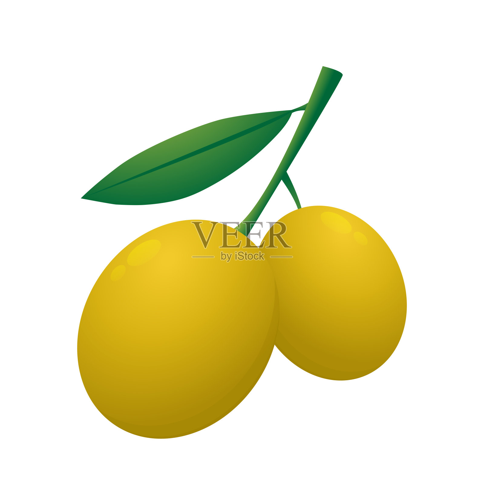 橄榄向量。白色背景上的橄榄色。墙纸。文本的自由空间。副本的空间。插画图片素材