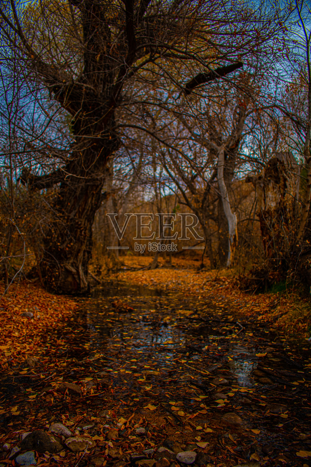 秋天的流照片摄影图片