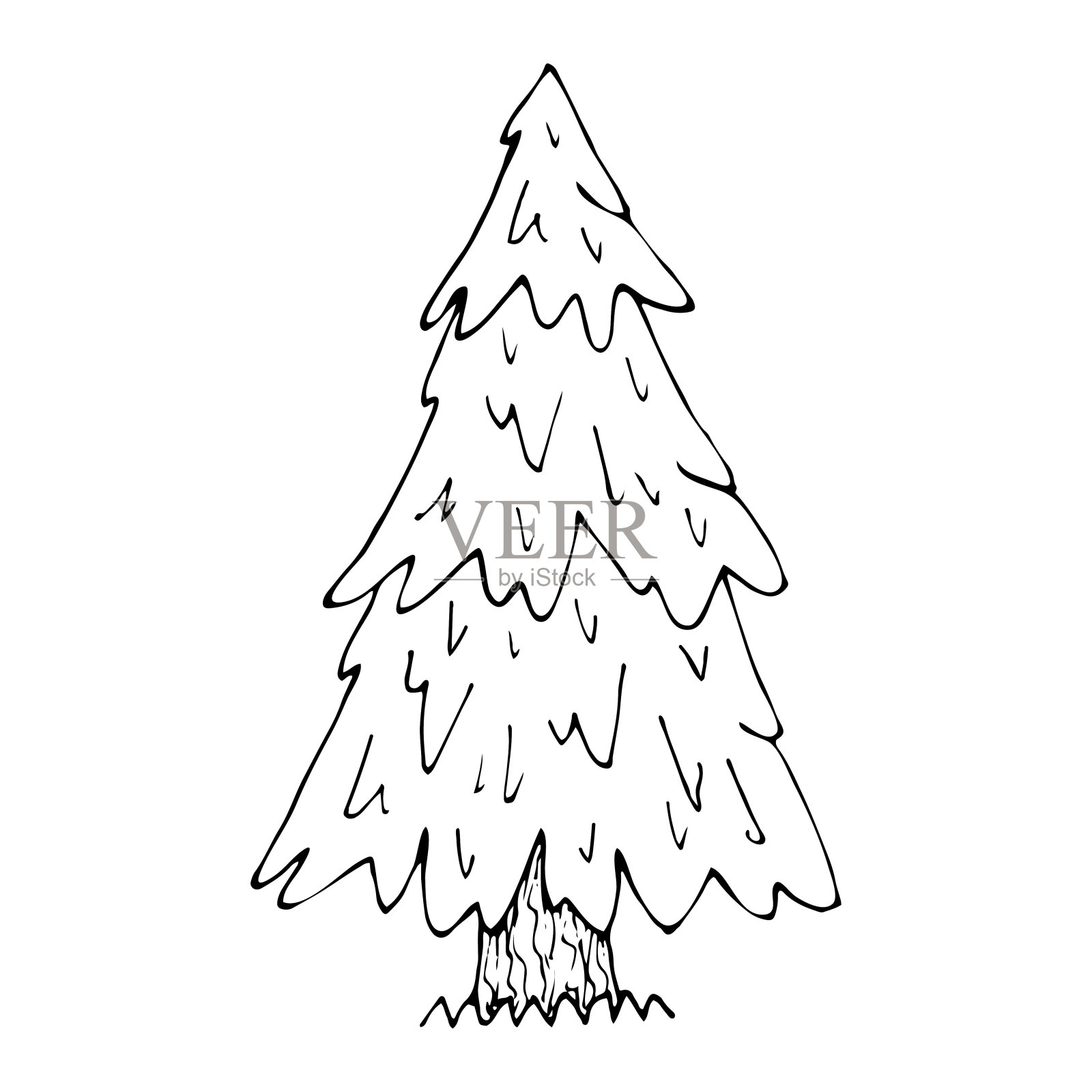 云杉草图。针叶树树。森林自然。手绘插图。插画图片素材