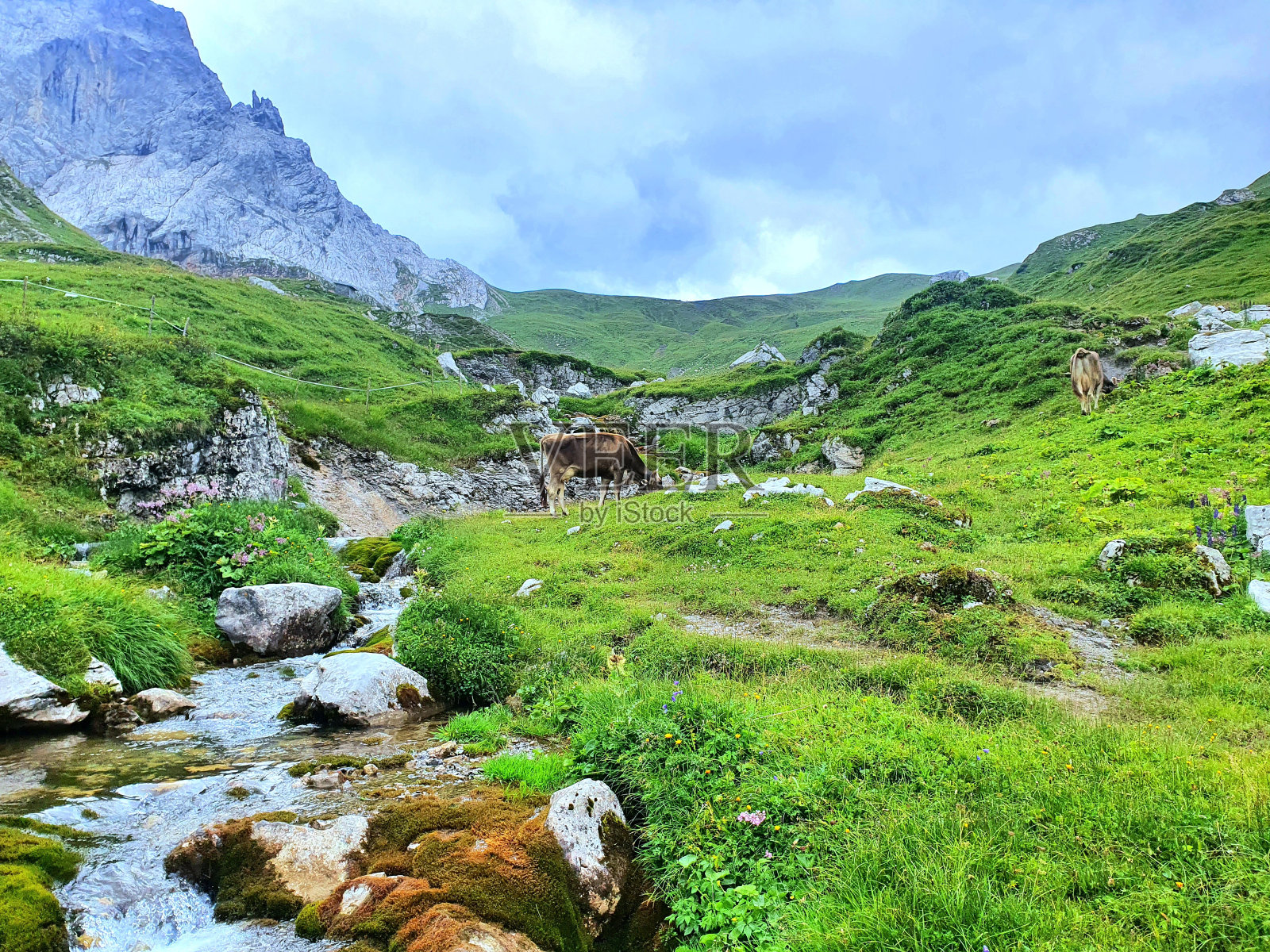 自然照片摄影图片