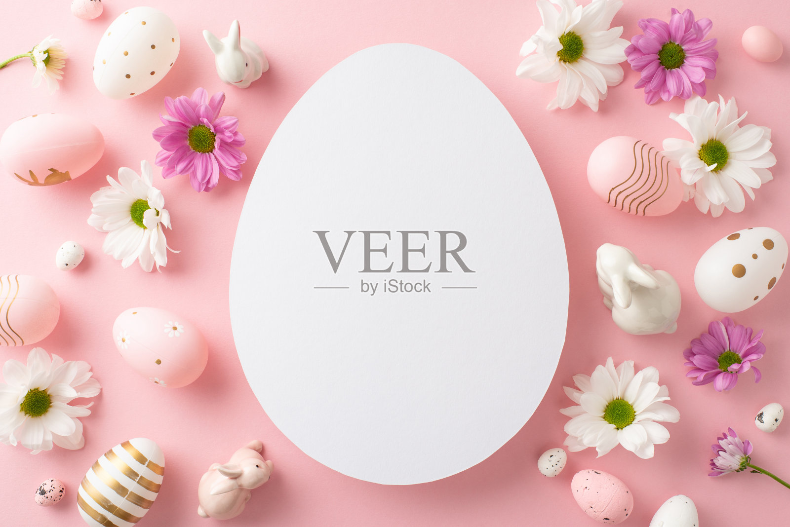 精美的复活节插页照片。从鸡蛋上看，新鲜的菊花放在精致的粉红色画布上，画布上有一个开放的鸡蛋形框架，用于信息或广告照片摄影图片