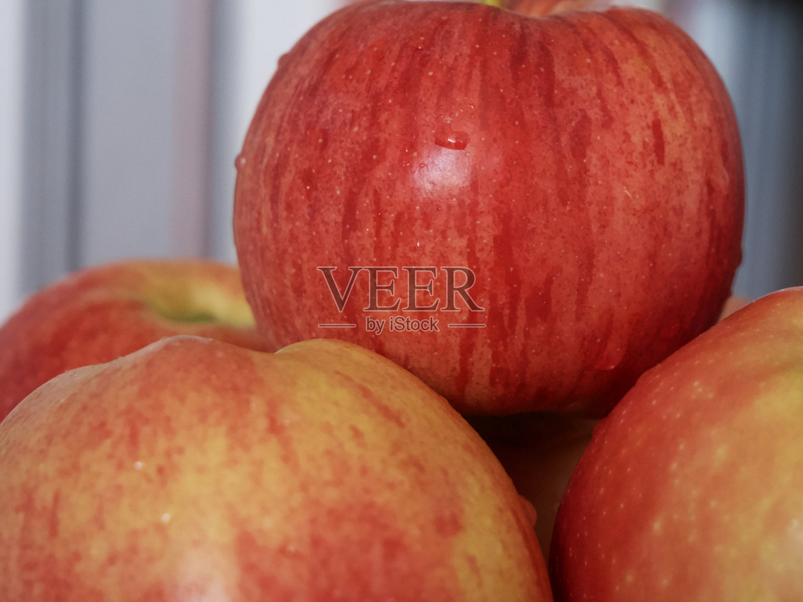 几个成熟的条纹苹果，特写镜头。gala和Ligol品种的苹果。照片摄影图片