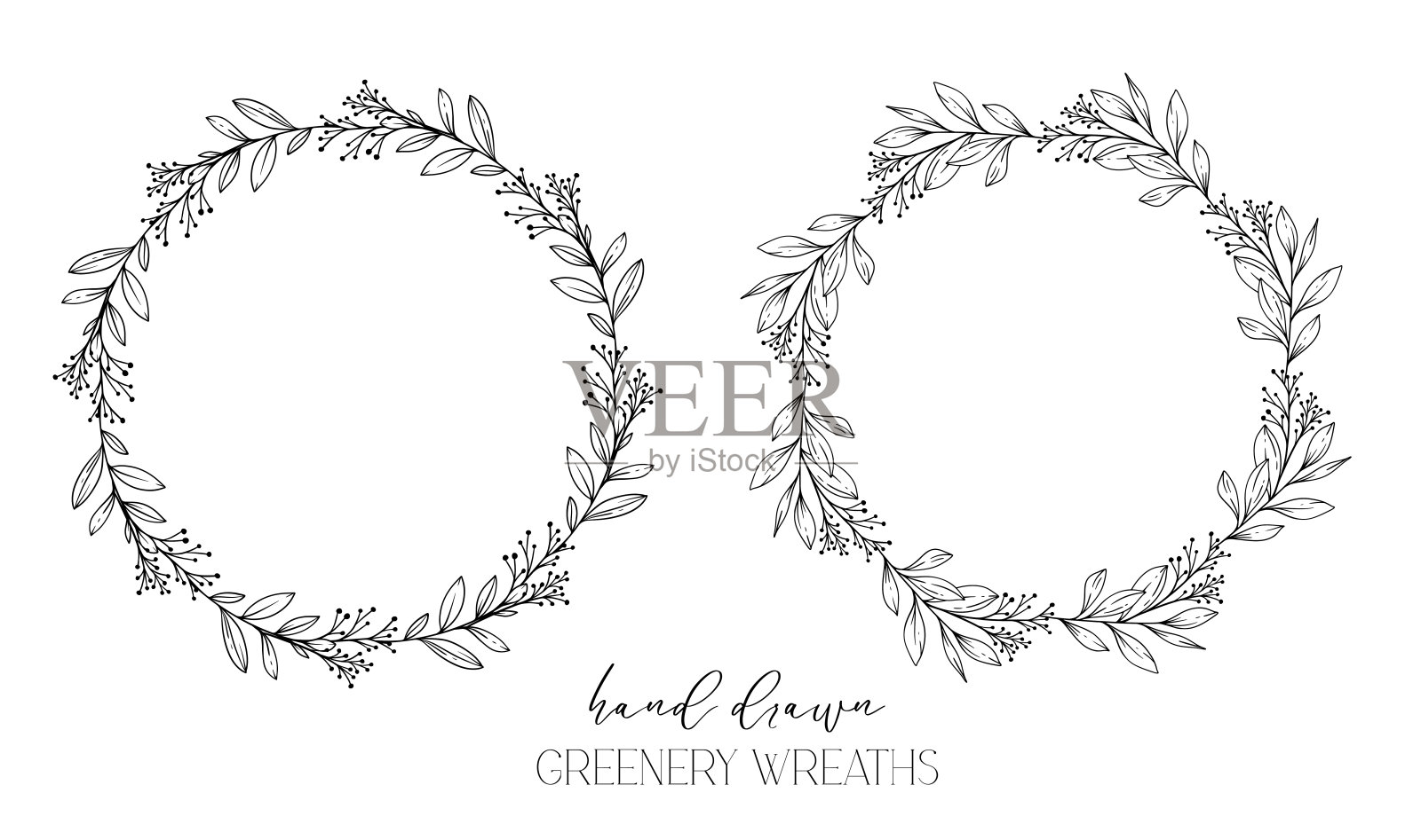 手绘花卉框架线条艺术，花圈绿色植物线条画。植物绿叶与叶子相框插画图片素材