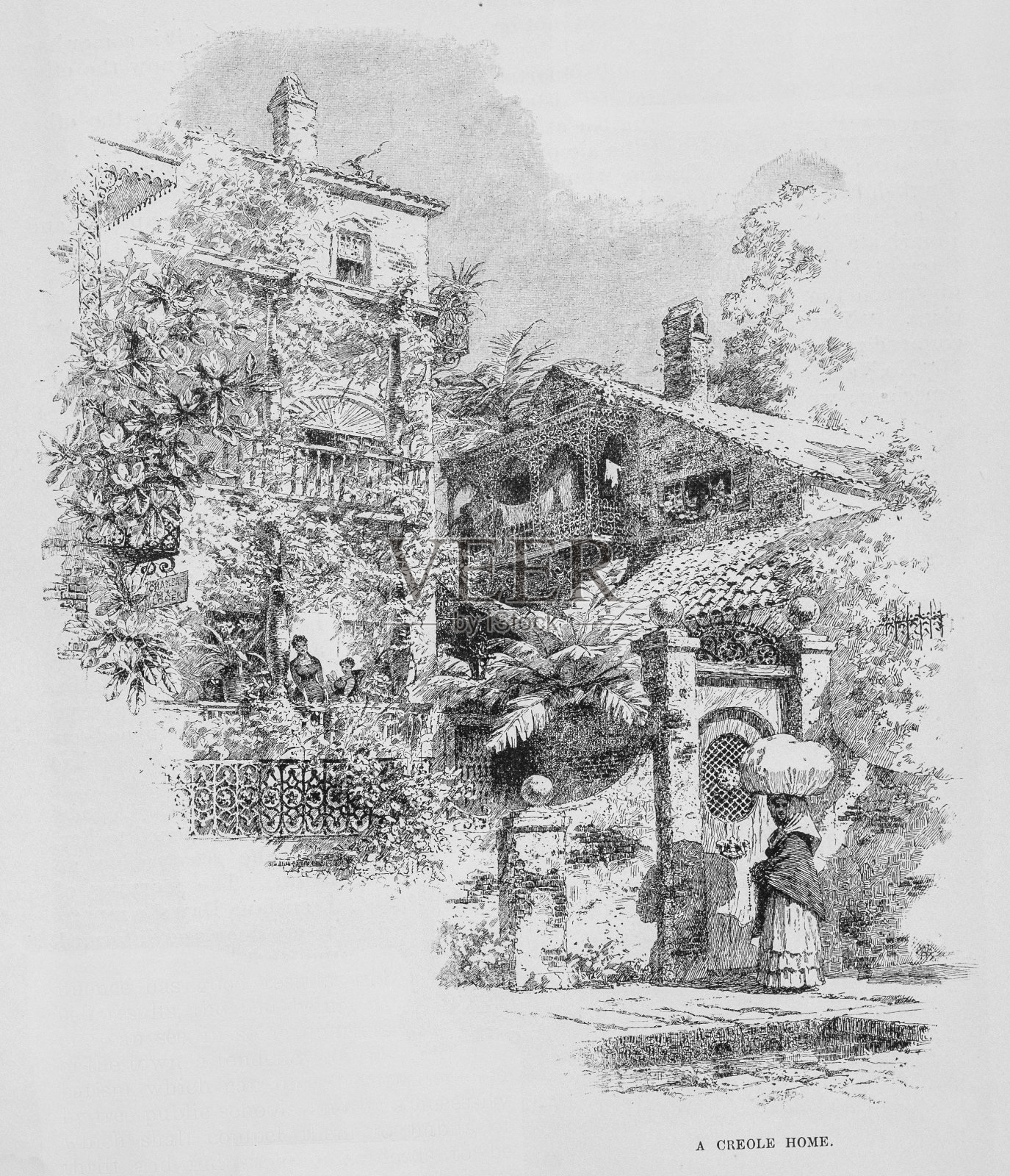 克里奥尔人的家插画图片素材