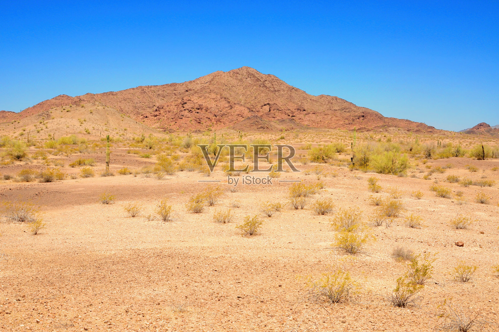 亚利桑那州中部和荒凉的索诺拉沙漠照片摄影图片