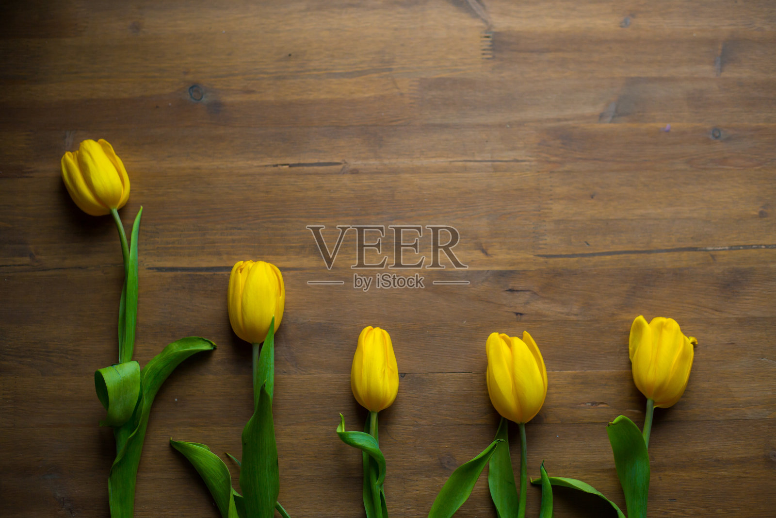 木地板上放着一束黄色的郁金香。一束花。对花过敏。妇女节。母亲的一天。献给我亲爱的妻子和母亲。3月8日。春天。照片摄影图片