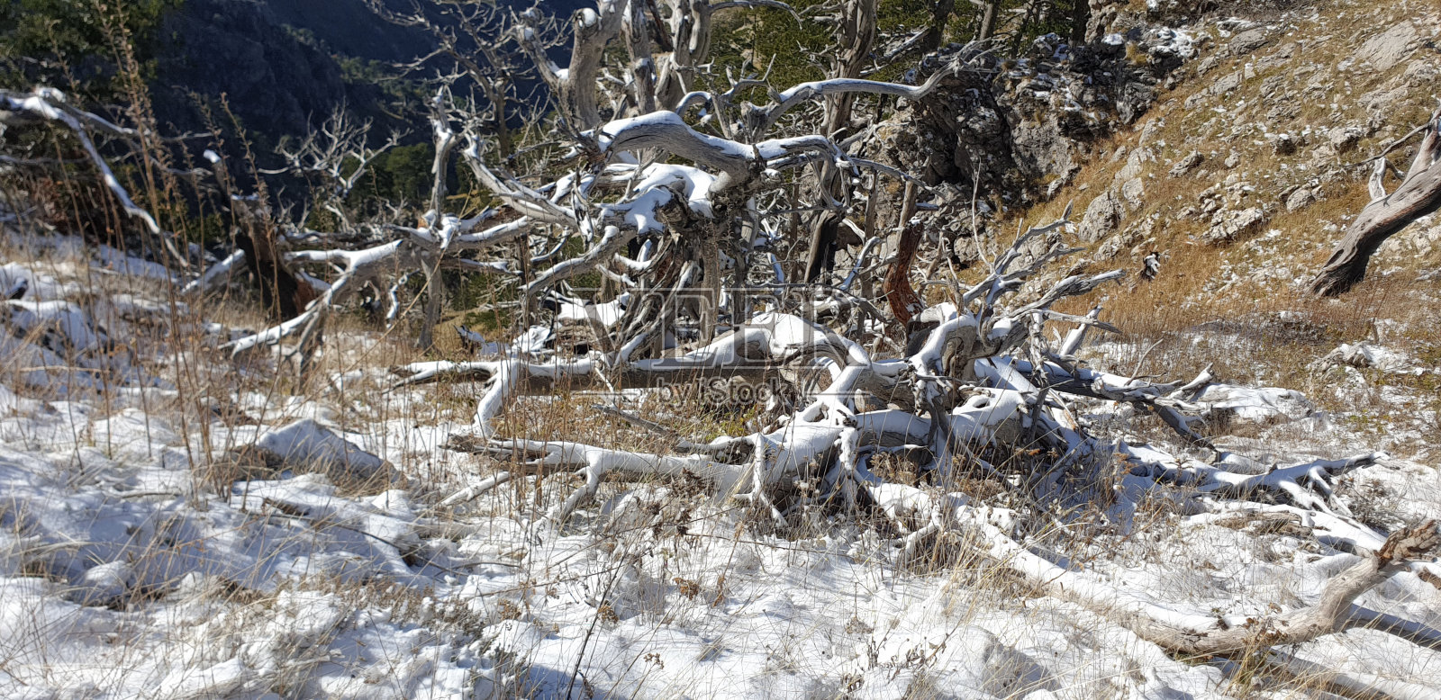 大自然的威严:徒步旅行和山地冒险照片摄影图片