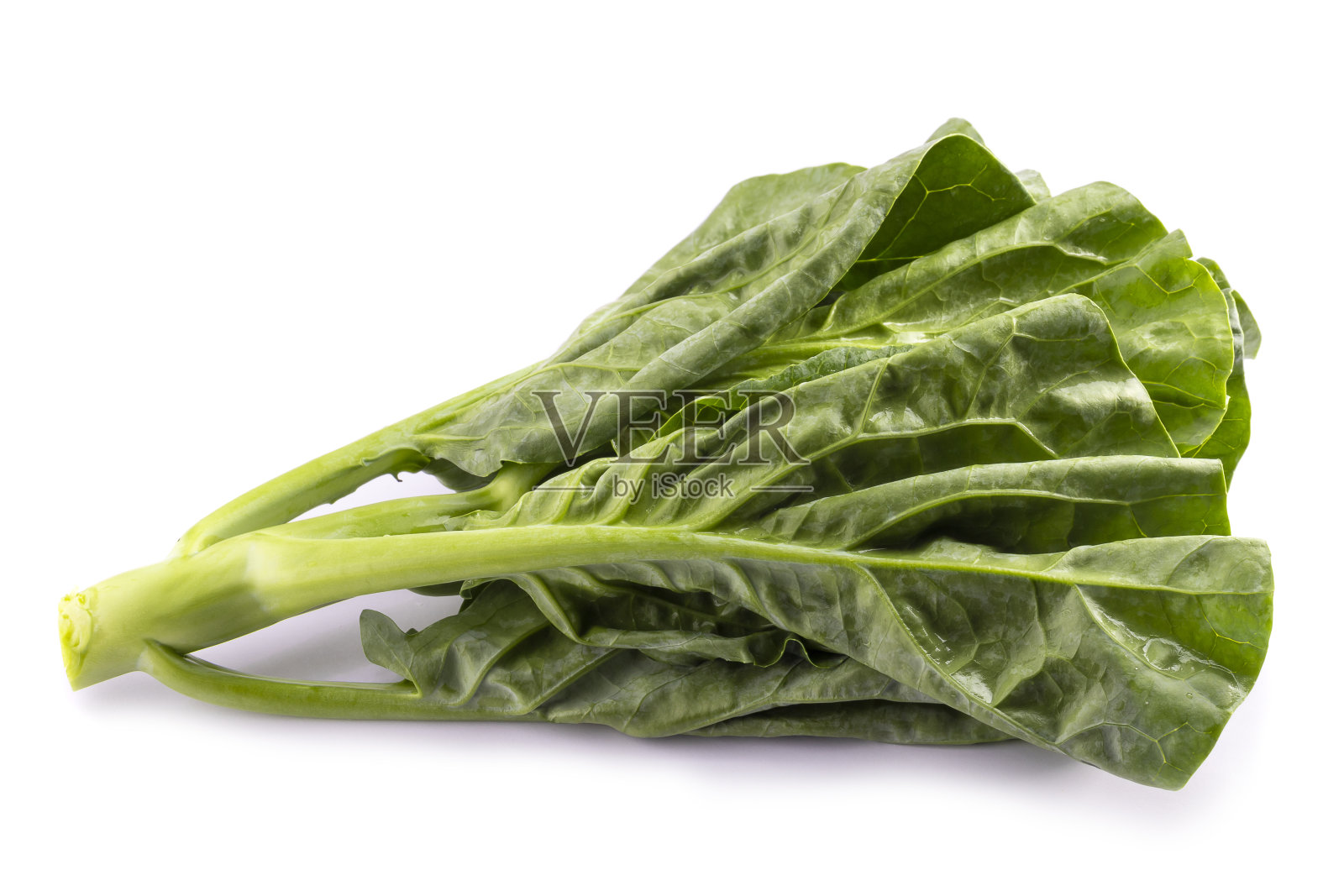 中国的西兰花在白色的背景上是孤立的照片摄影图片