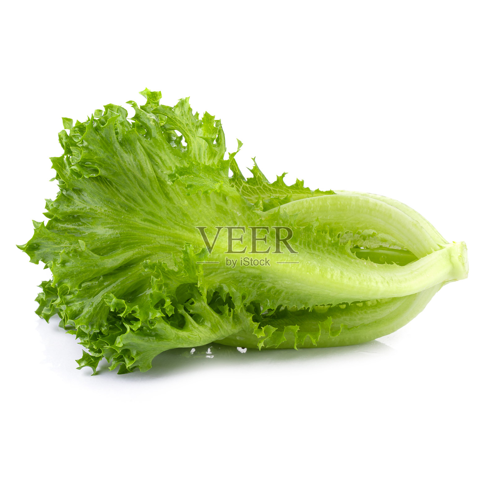 新鲜的卷心莴苣被隔离在透明的背景上照片摄影图片