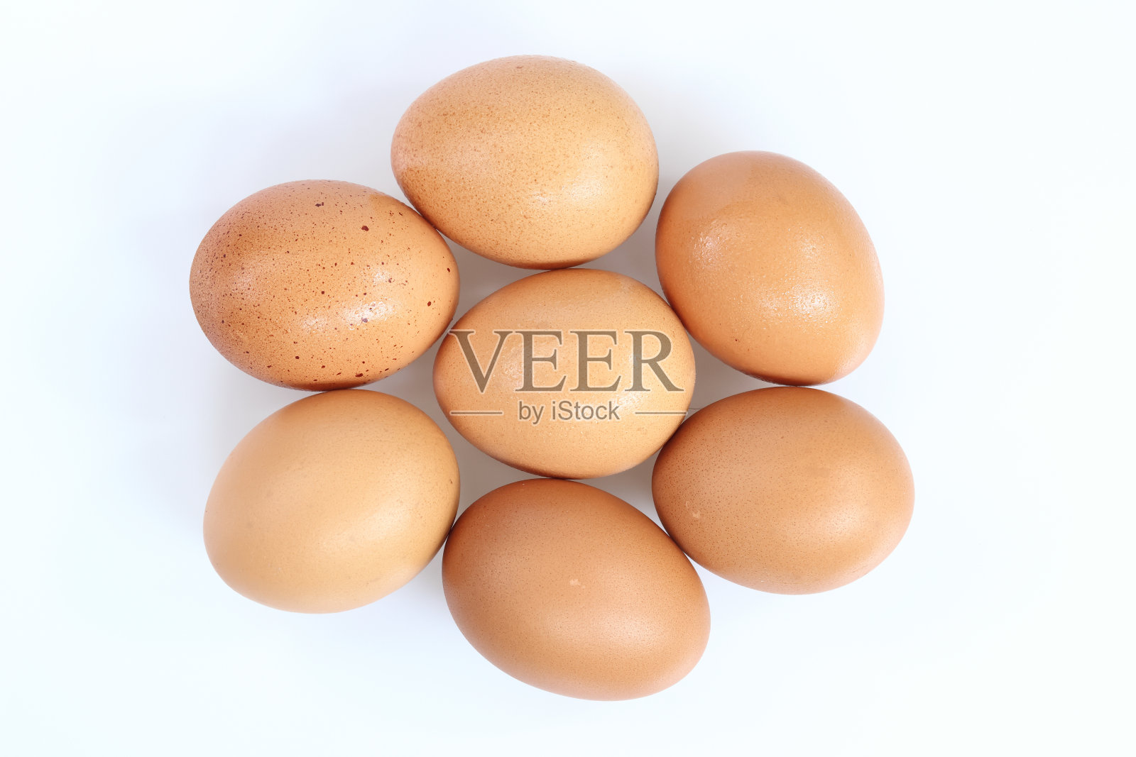 蛋照片摄影图片