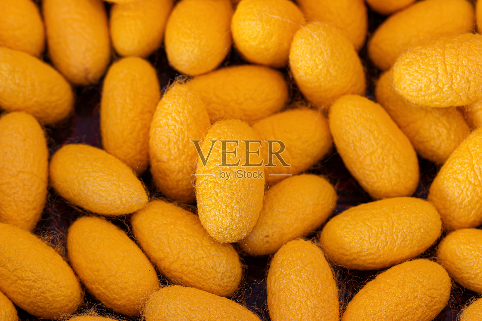 蚕茧背景照片摄影图片