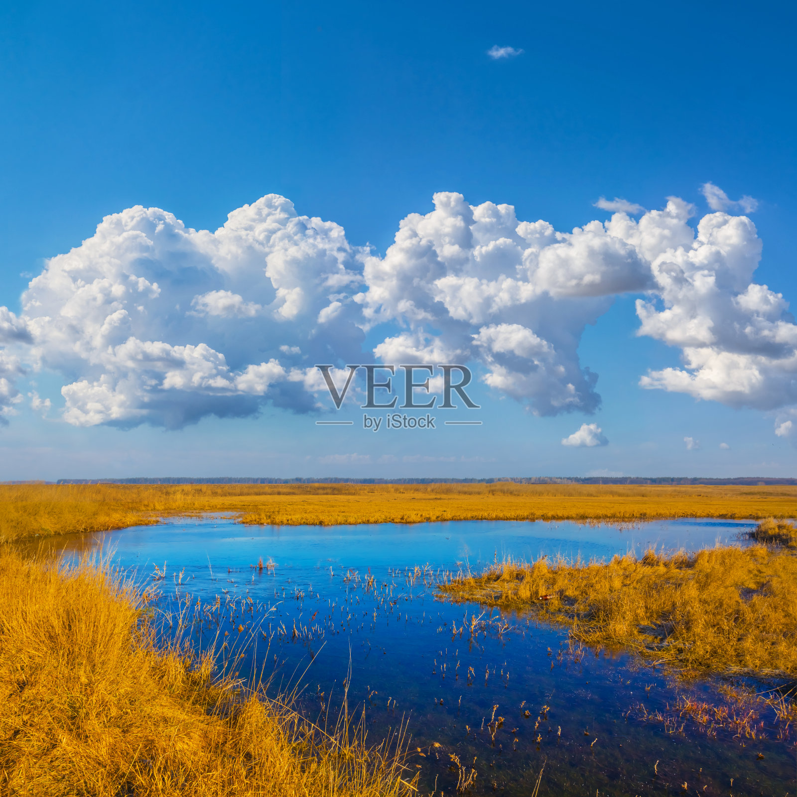 草原上积云下的蓝色小湖照片摄影图片