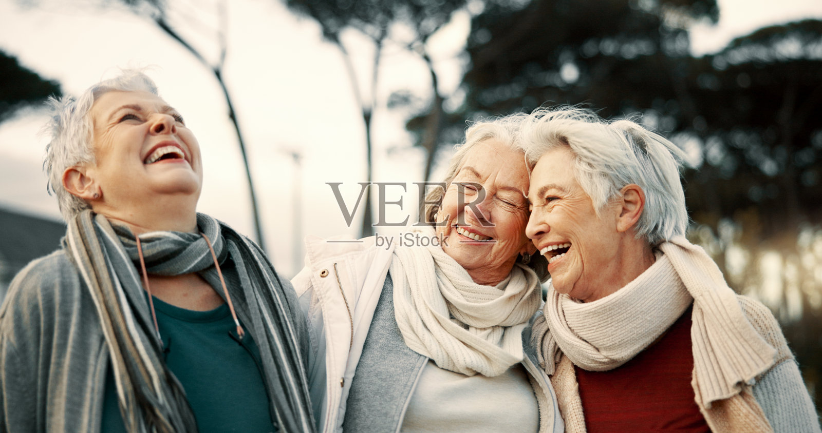 在退休期间，喜剧、欢笑和年长的女性朋友一起在公园户外聚会。肖像，微笑和有趣的一群快乐的老人在一个花园的幽默或乐趣照片摄影图片