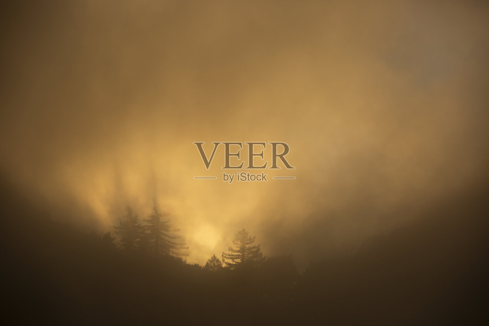 安吉利斯国家森林日落山脉照片摄影图片