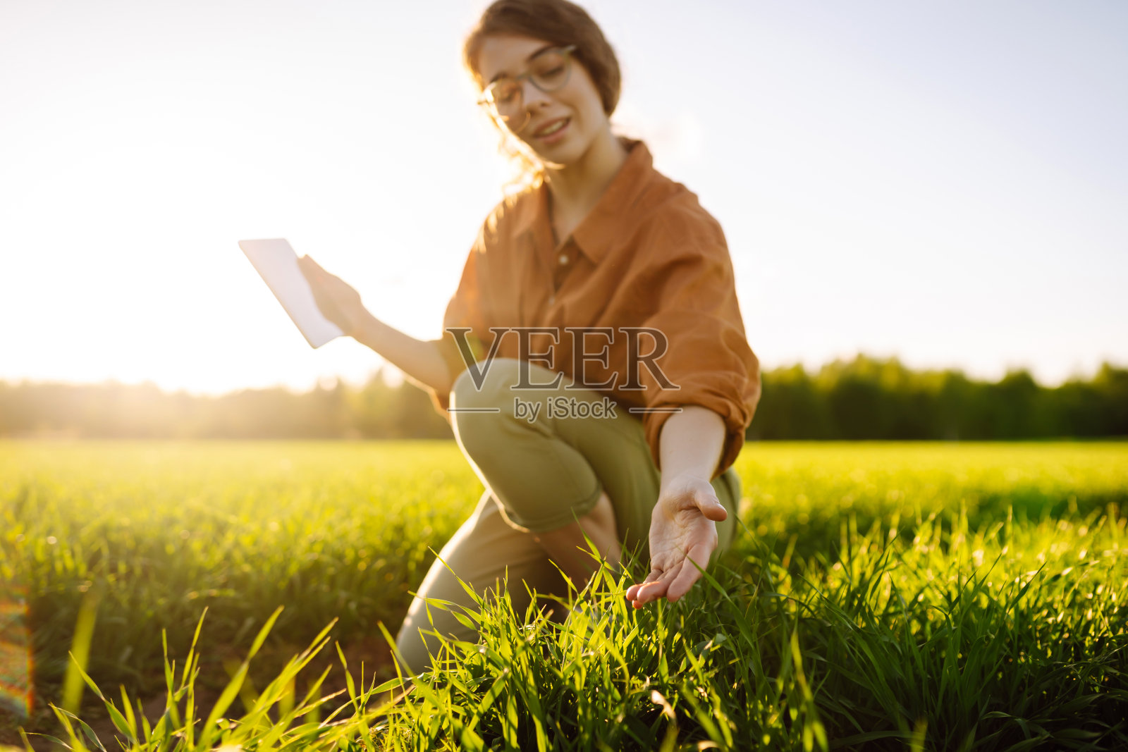 一位拿着现代平板电脑的女农民用手评估嫩芽，照片摄影图片