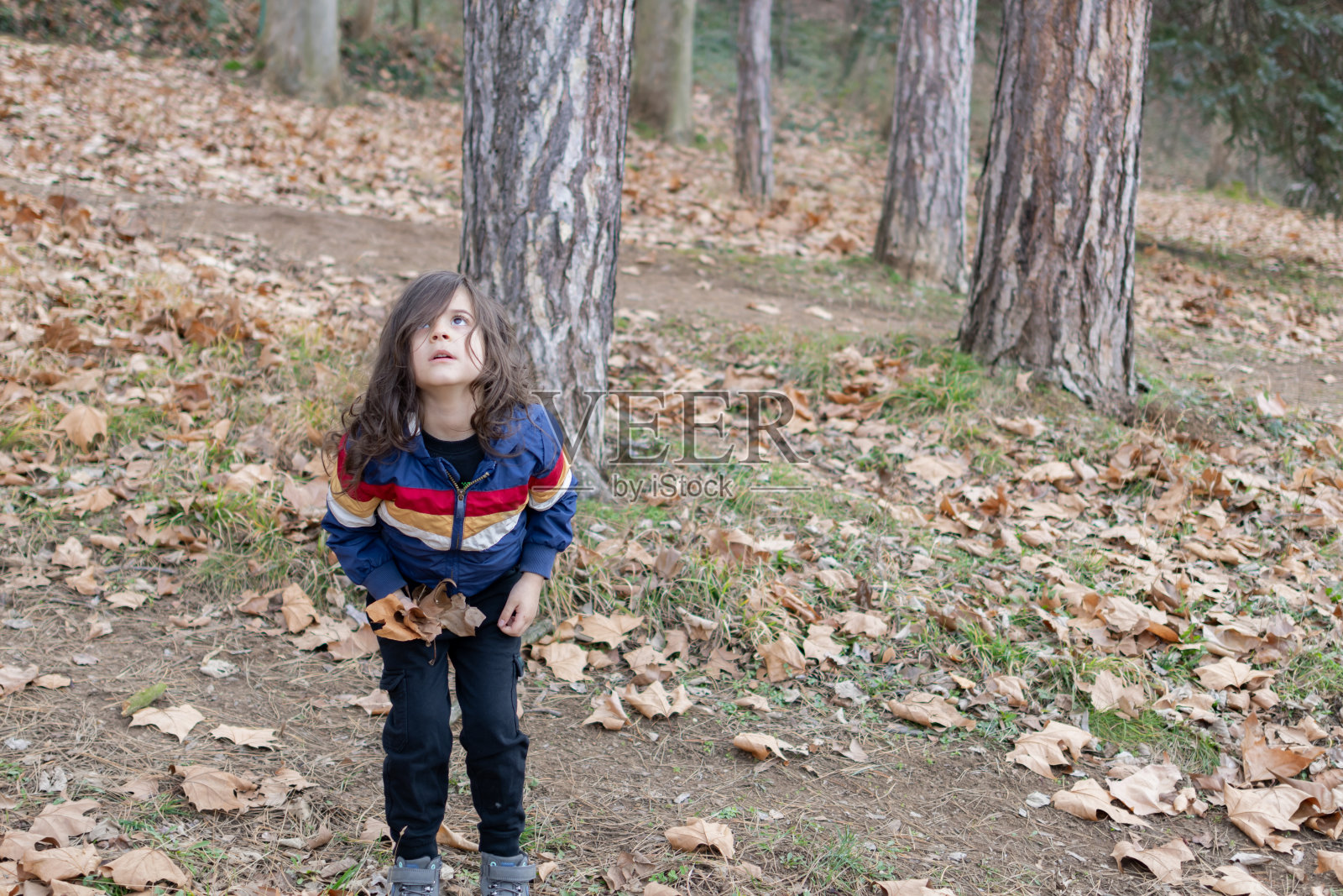 小男孩在公园里玩得很开心。照片摄影图片