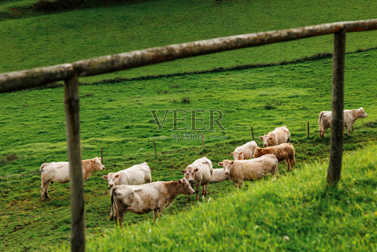 亚速尔群岛的风景，葡萄牙圣玛丽亚的徒步旅行，欧洲旅行。照片摄影图片