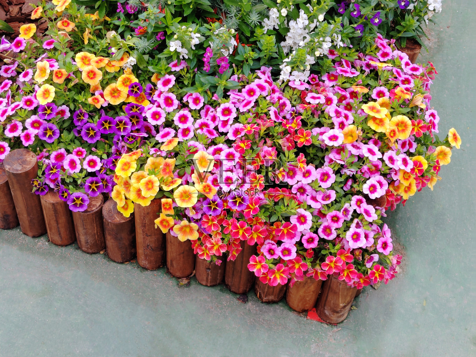 花圃照片摄影图片