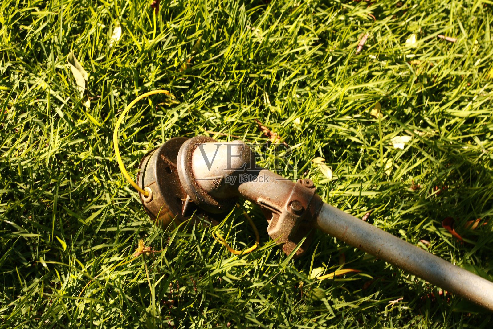 割草机照片摄影图片