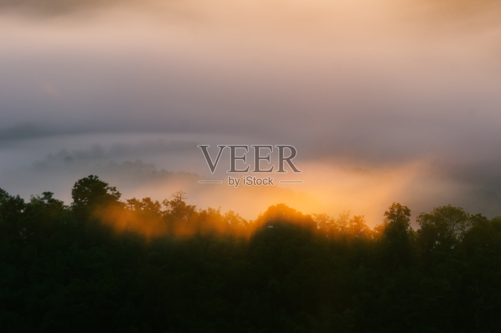 清晨的风景，金色的光线，日出，雾气笼罩着森林。照片摄影图片