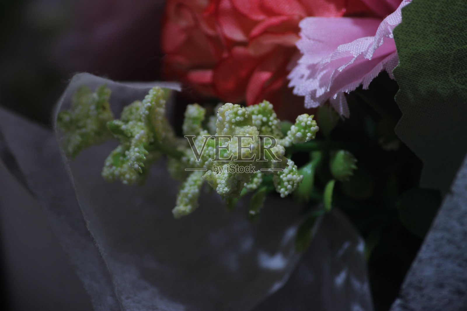 手工制作的绿色小仙人掌照片摄影图片