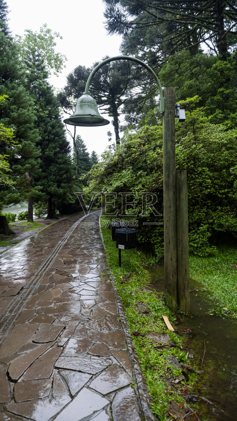 内格罗湖的灯被雨淋湿了照片摄影图片