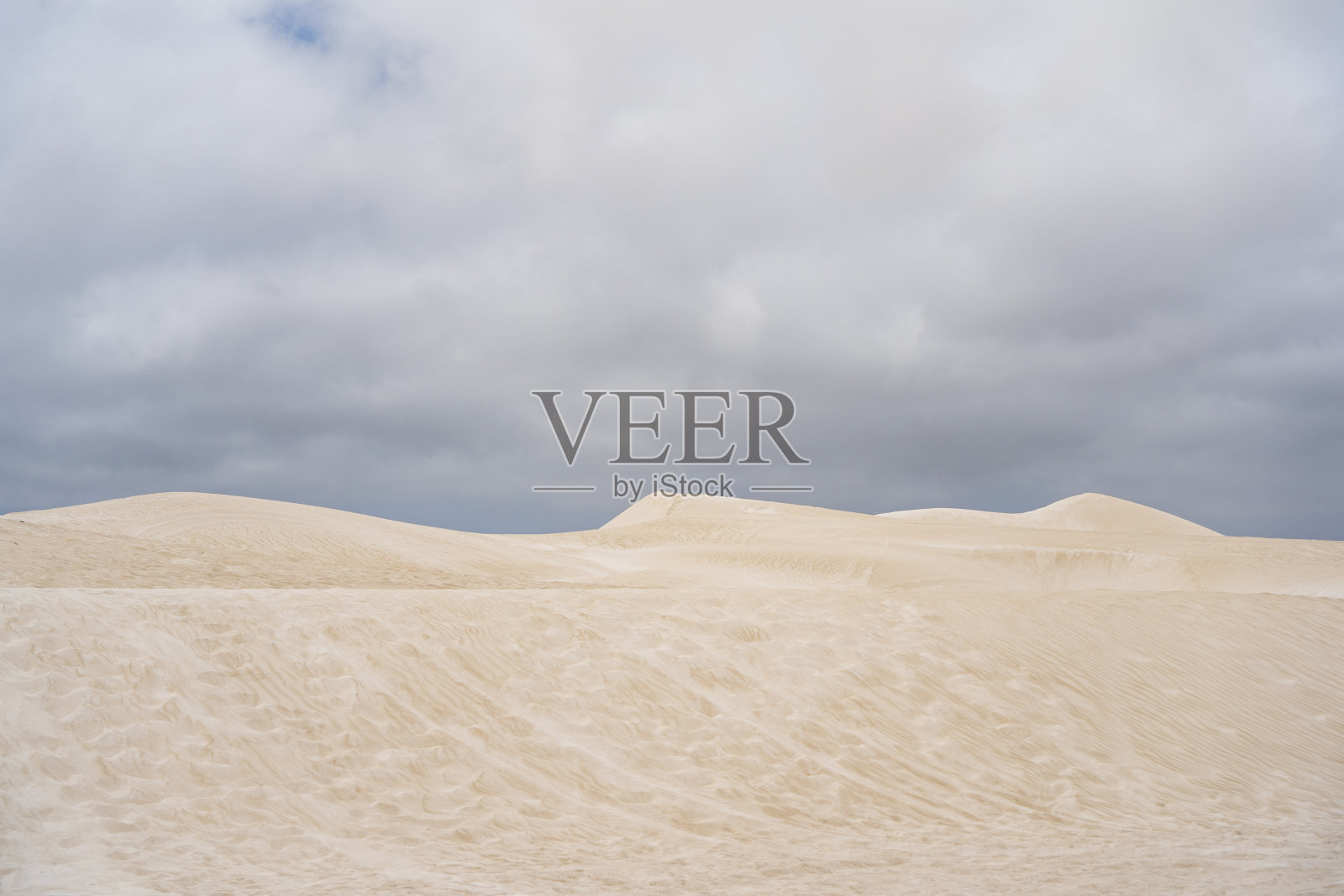 华盛顿州的兰瑟林沙丘。照片摄影图片