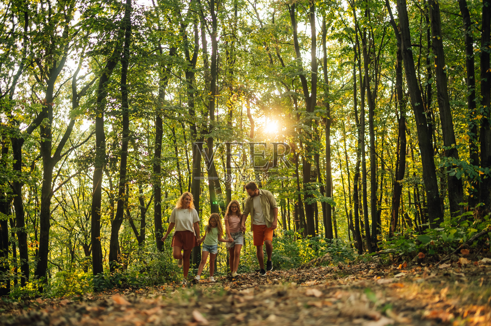 一个幸福的家庭正在探索森林中未被触及的自然美景。照片摄影图片
