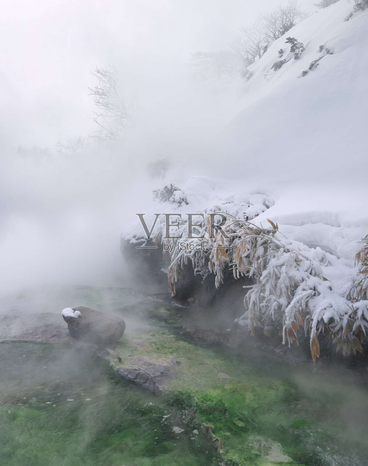 热热的河流和覆盖着雪的竹林照片摄影图片