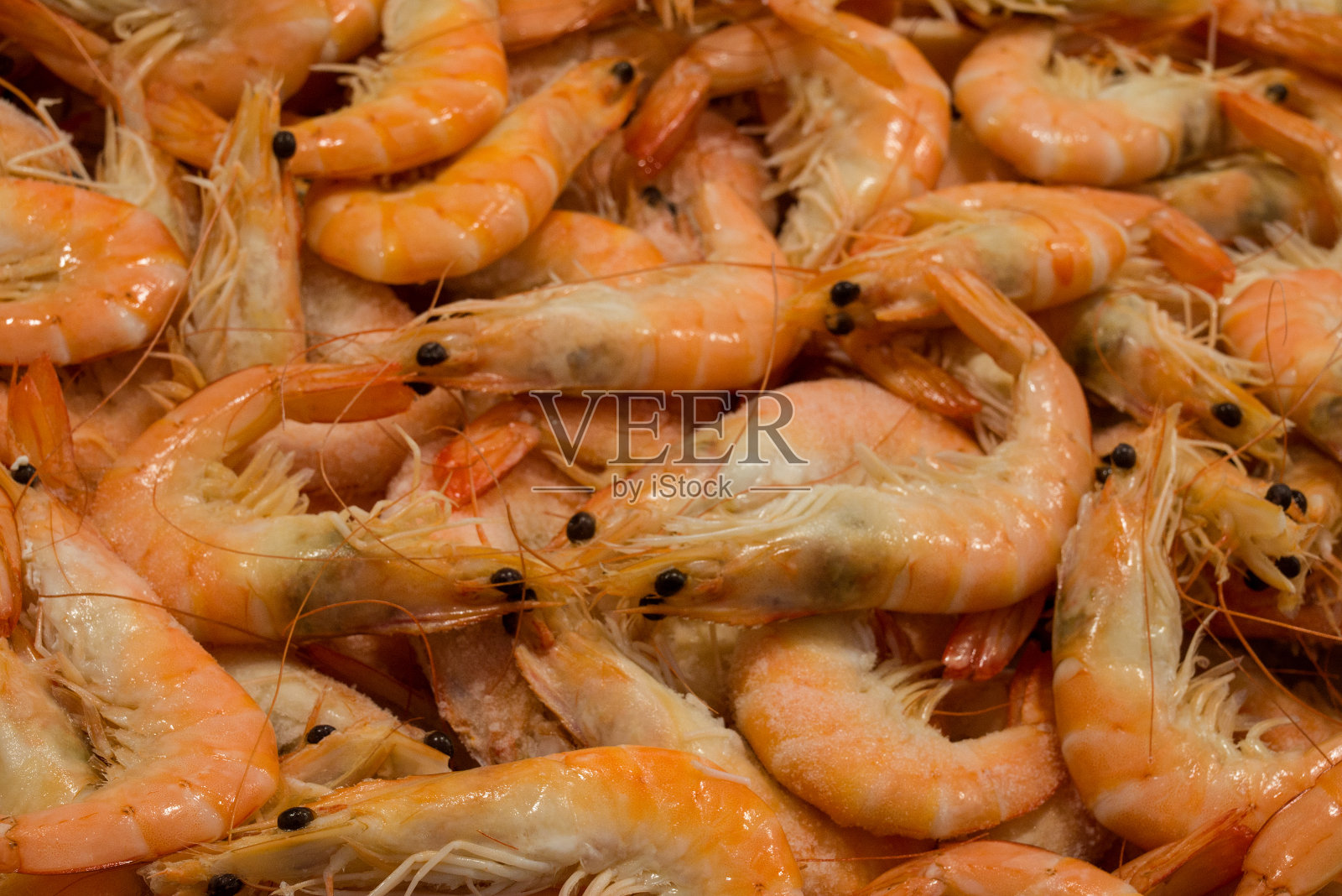 鱼市有许多不同的新鲜鱼照片摄影图片