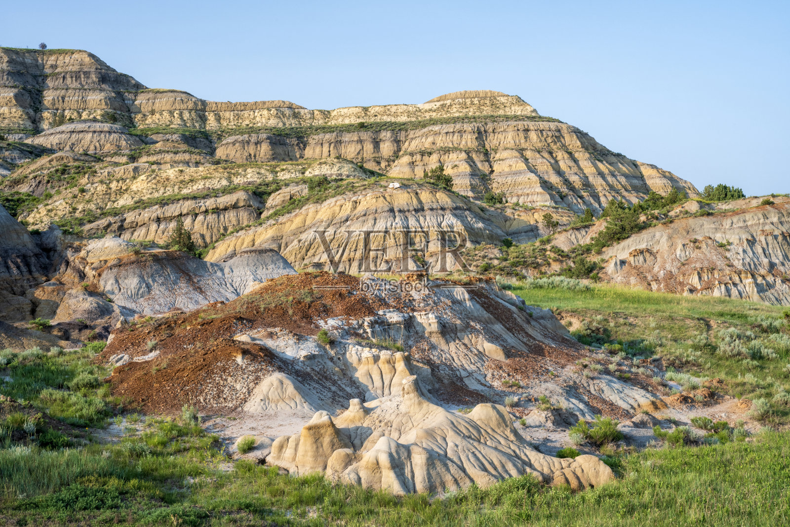 西奥多·罗斯福国家公园的夏日景色照片摄影图片