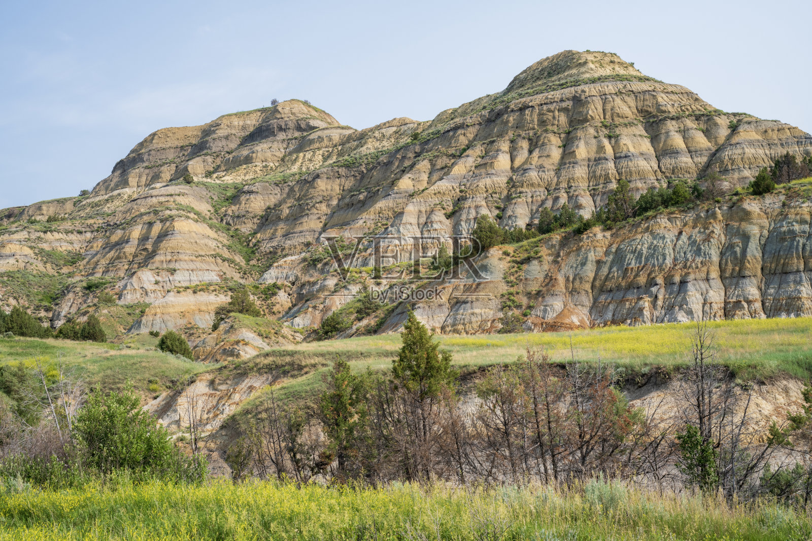 西奥多·罗斯福国家公园的夏日景色照片摄影图片