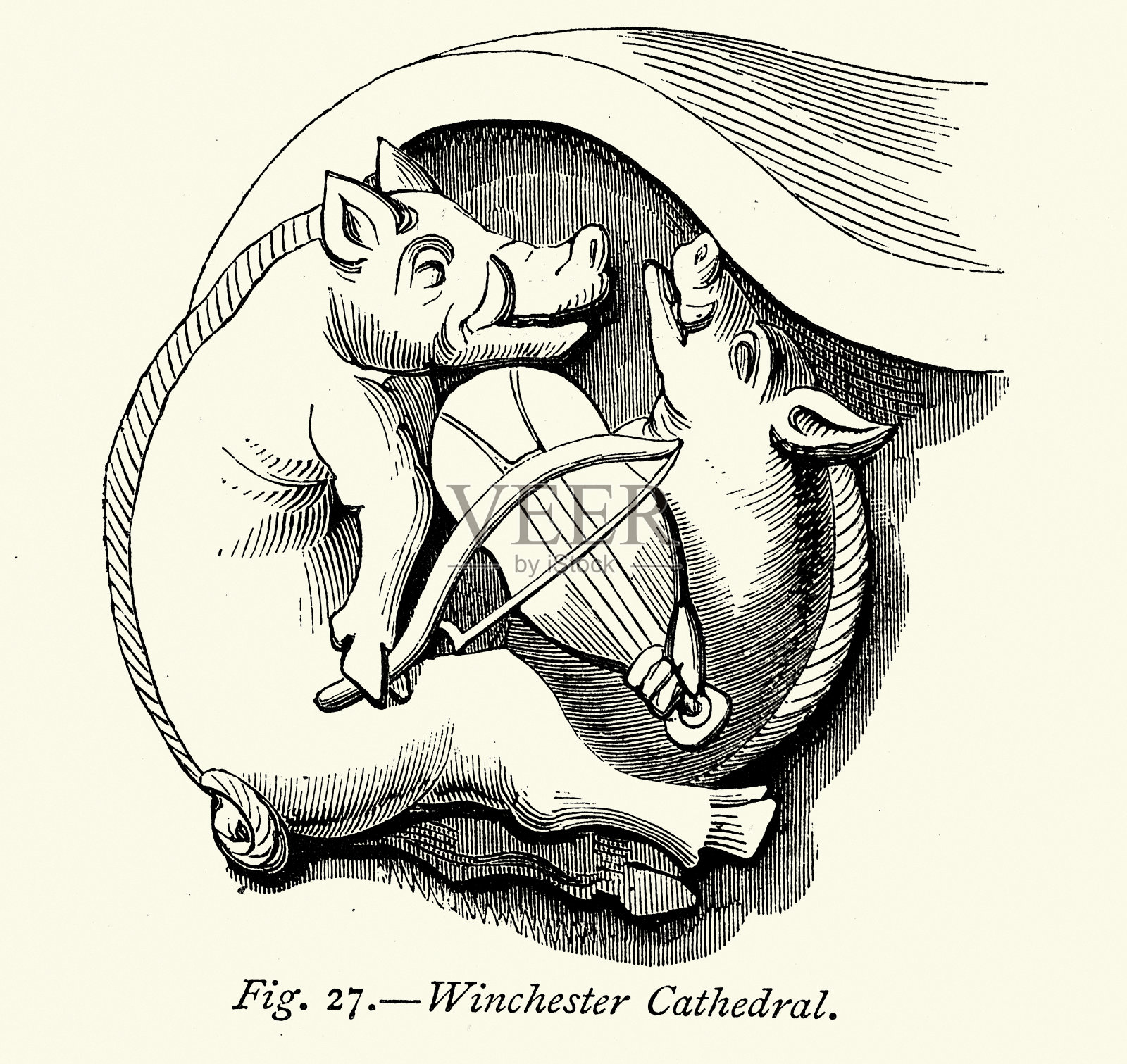 野猪，猪，演奏维尔，小提琴一样的乐器，中世纪木雕从教堂摊位，温彻斯特大教堂插画图片素材