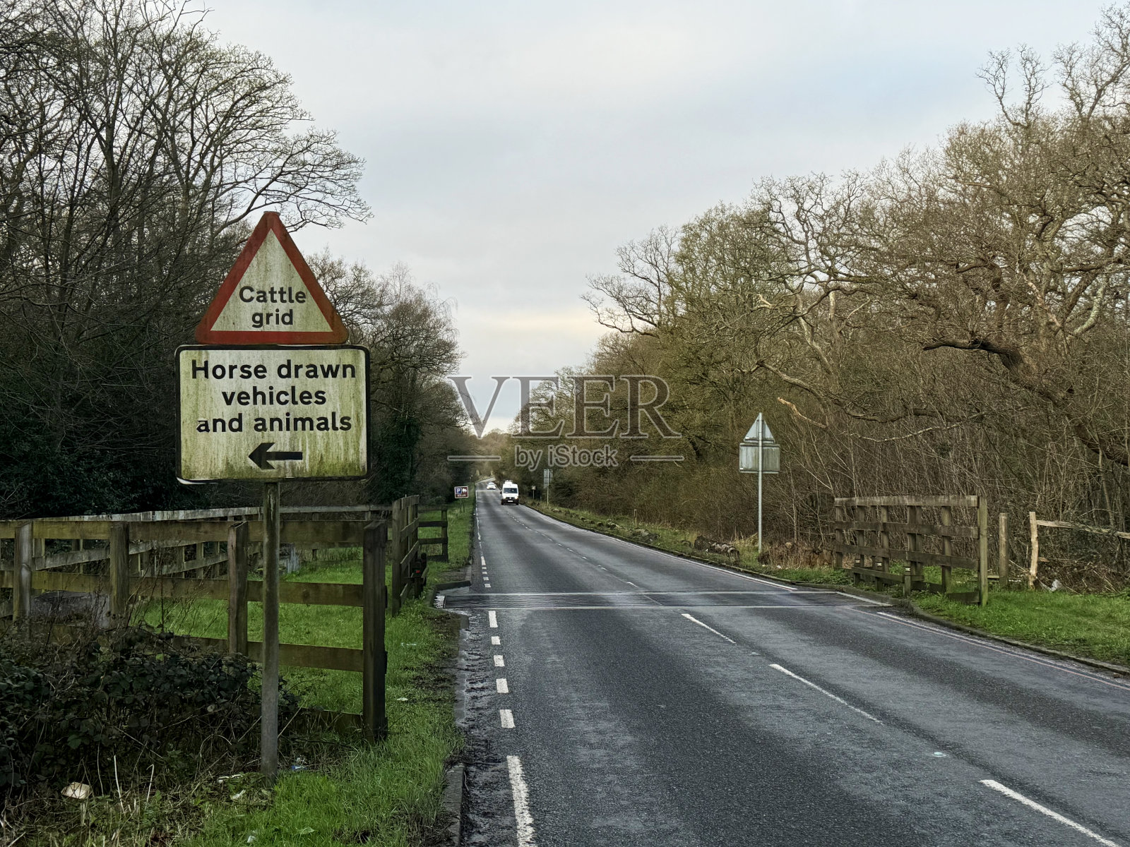 牛格标志照片摄影图片