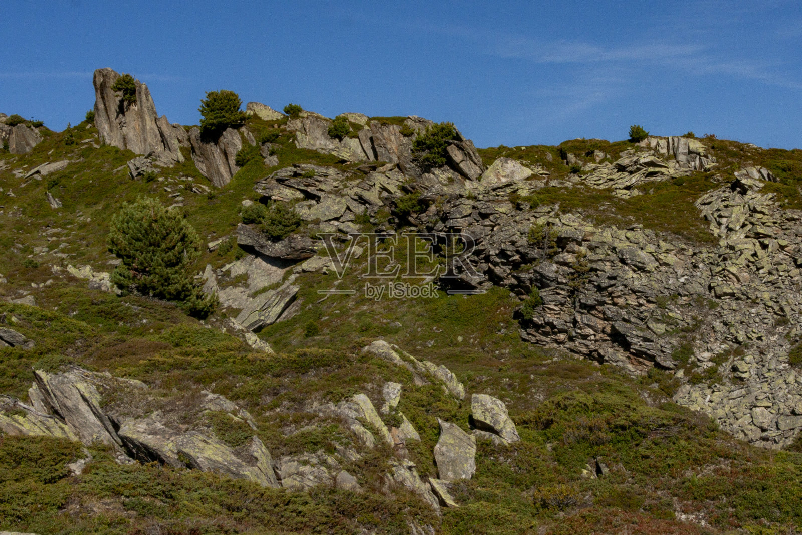 瑞士伯尔尼阿尔卑斯山脉少女峰-阿莱奇保护区照片摄影图片