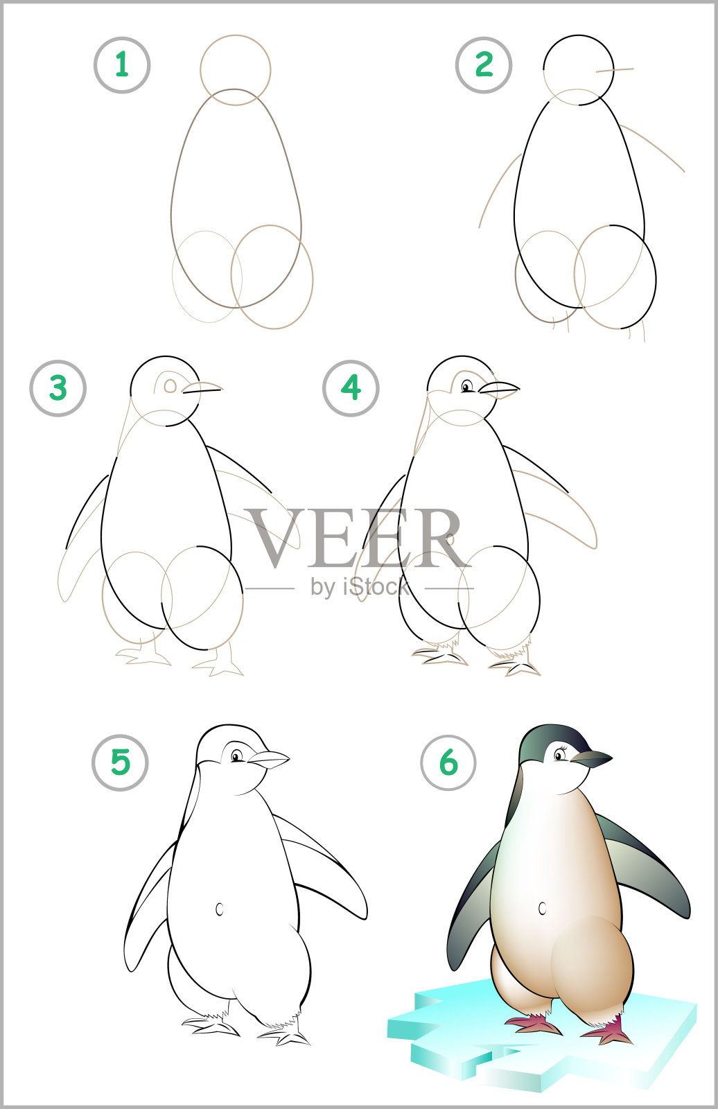 页面展示了如何一步一步地学习绘制企鹅。培养孩子的绘画和着色技能。矢量图像。插画图片素材