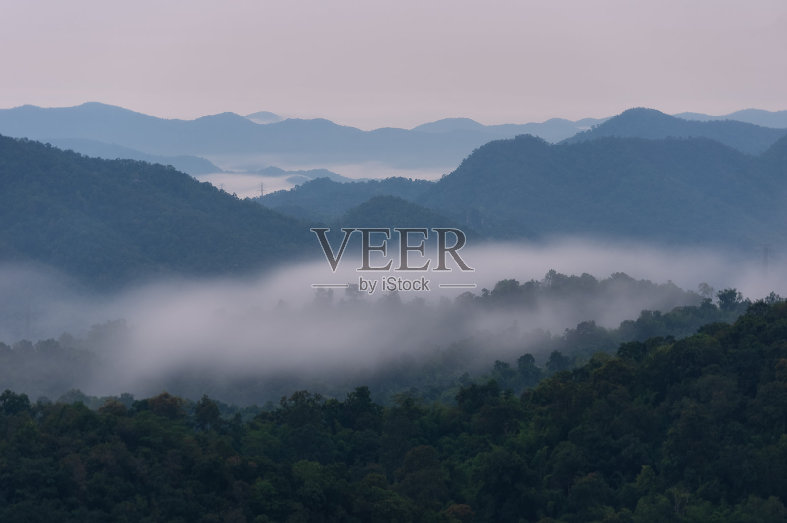 清晨的风景，金色的光线，日出，雾气笼罩着森林。照片摄影图片